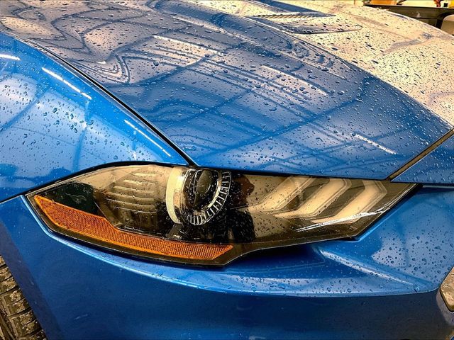 2020 Ford Mustang EcoBoost Blue at Grove City Ford