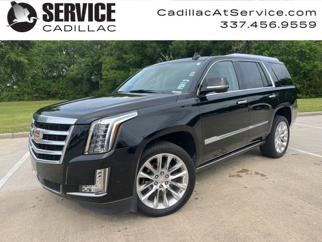 Black Raven 2020 Cadillac Escalade Premium Luxury RWD SUV / Crossover Rear-Wheel Drive