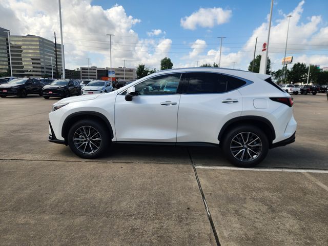 2025 Lexus NX 250 Premium White at Gullo Toyota