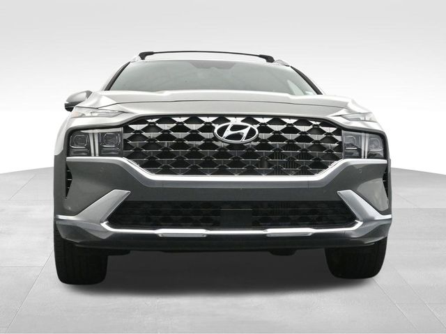 2022 Hyundai Santa Fe Calligraphy 41