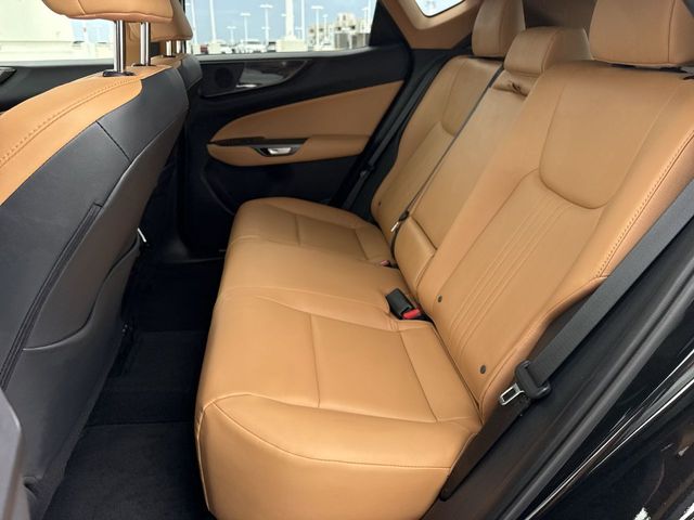 2025 Lexus NX - $41,998