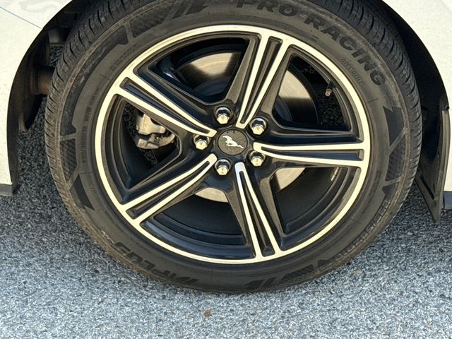 Used 2024 White Ford EcoBoost Premium image 9