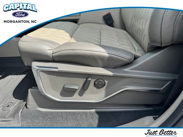 New 2026 Gray Ford Platinum image 22