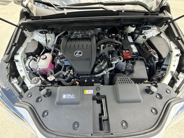 2024 Lexus NX - $42,898