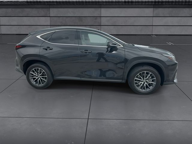 2025 Lexus NX - $41,998