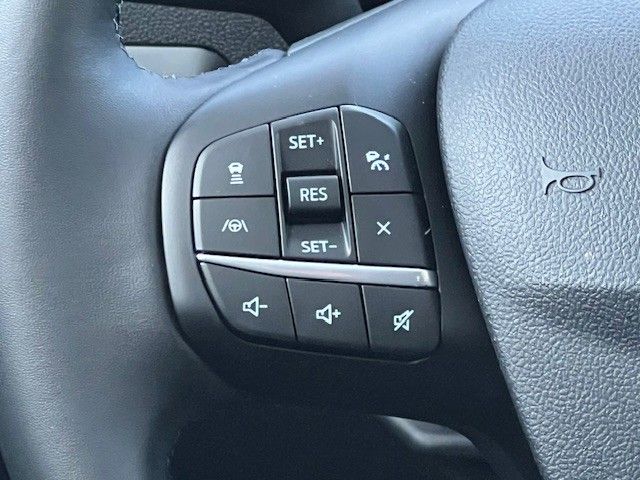 New 2025 Gray Ford Heritage image 29