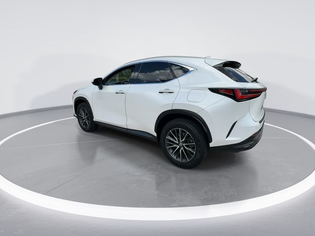 2025 Lexus NX - $37,498