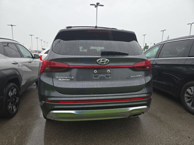 Used 2023 Gray Hyundai Calligraphy image 3