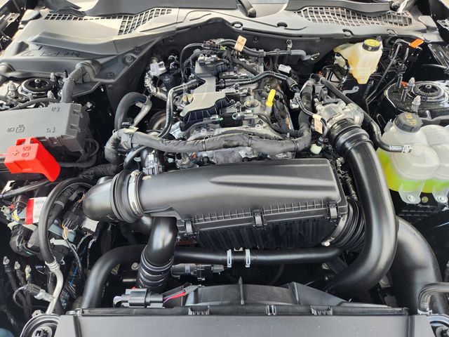 2025 Ford Mustang EcoBoost photo