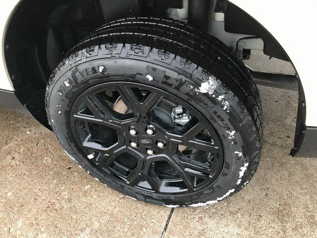 New 2025 Beige Ford XLT image 24