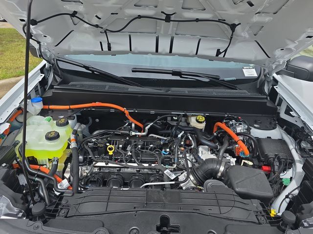 New 2026 White Ford XLT image 30