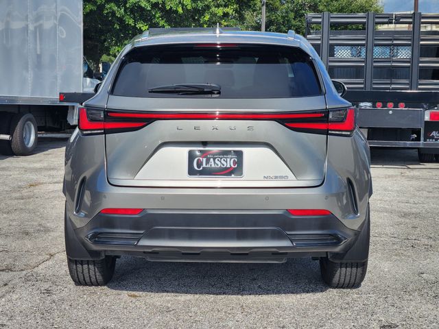 2024 Lexus NX 250 Premium - 5