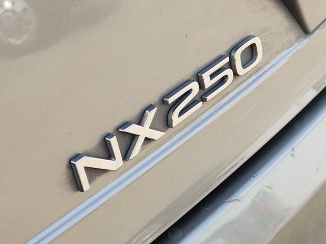2024 Lexus NX 250 Premium - 10