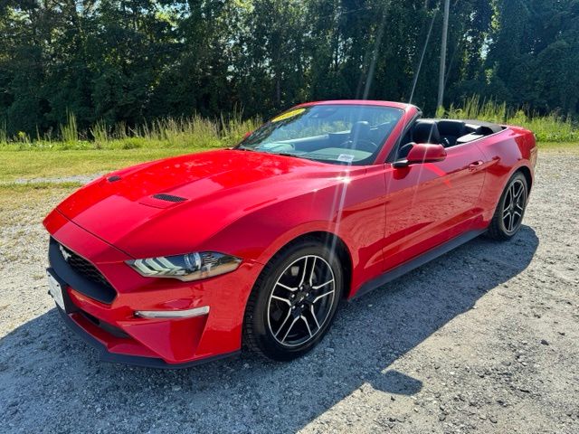 Used 2022 Red Ford EcoBoost Premium image 11
