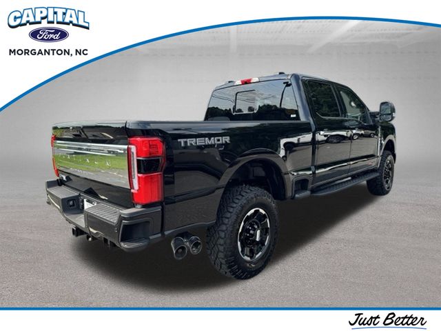 New 2026 Black Ford Platinum image 8