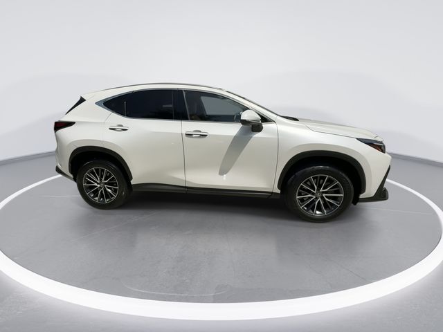 2024 Lexus NX 350h - $42,998
