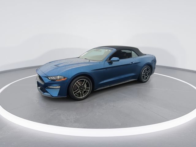 Used 2022 Blue Ford EcoBoost Premium image 4