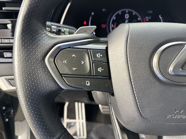 2024 Lexus RX RX photo