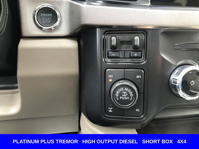 New 2026 Gray Ford Platinum image 14