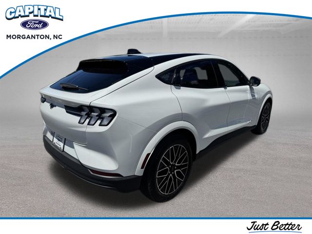 New 2026 White Ford Premium image 11