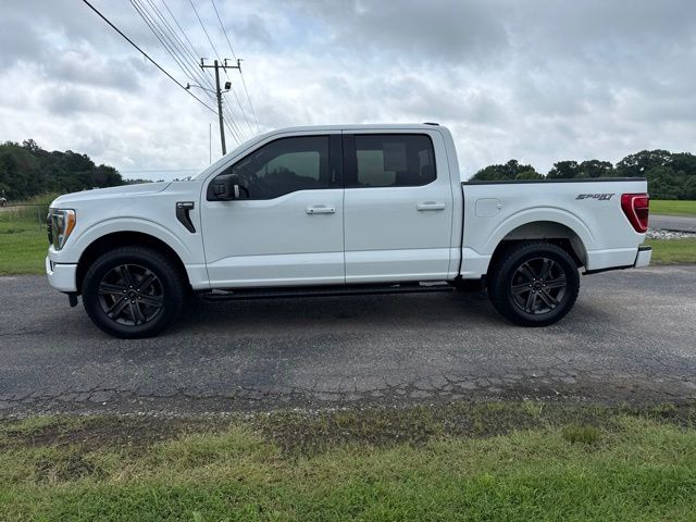 2023 Ford F-150 XLT - Image 2
