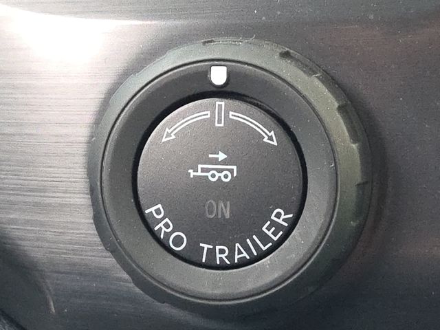 New 2025 Black Ford Flash image 25