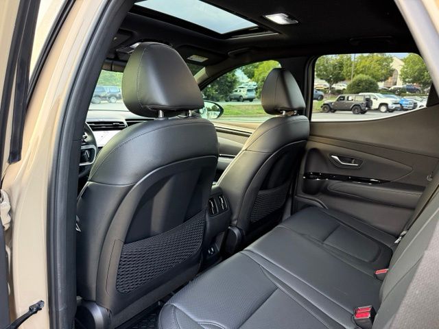 Used 2024 Hyundai Santa Cruz Truck
