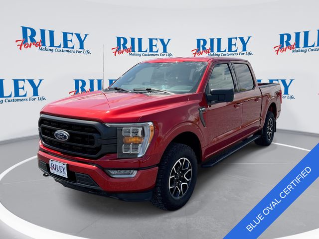 Hot Pepper Red Metallic Tinted Clearcoat 2023 Ford F-150 XLT SuperCrew 4WD Pickup Truck Four-Wheel Drive Automatic
