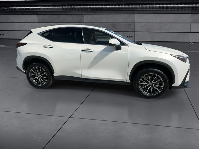 2025 Lexus NX - $38,788
