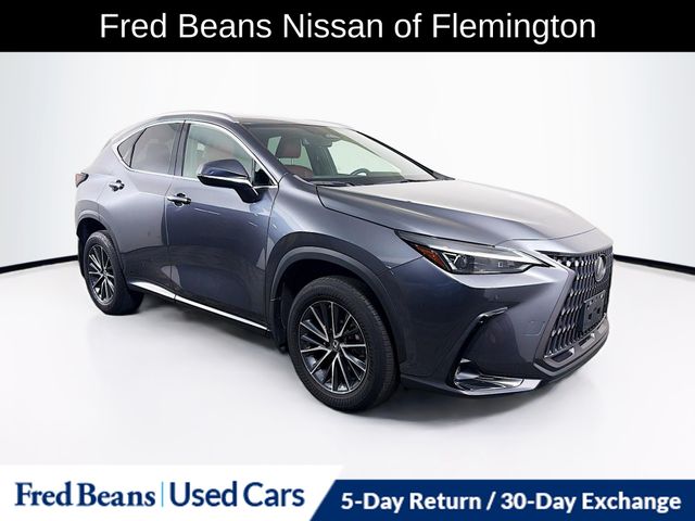 Gray 2023 Lexus NX 350 Premium AWD SUV / Crossover All-Wheel Drive 8-Speed Automatic