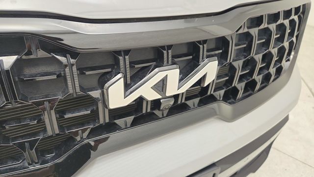 2024 Kia Telluride SX-Prestige X-Pro - 11