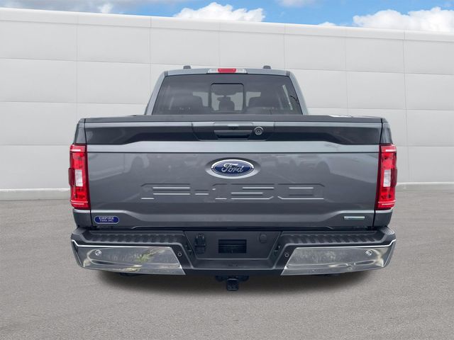 2023 Ford F-150 XLT 4