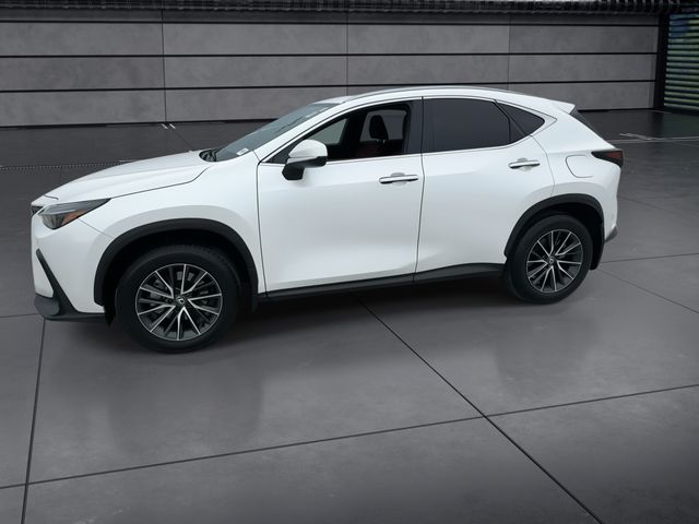 2025 Lexus NX - $41,988