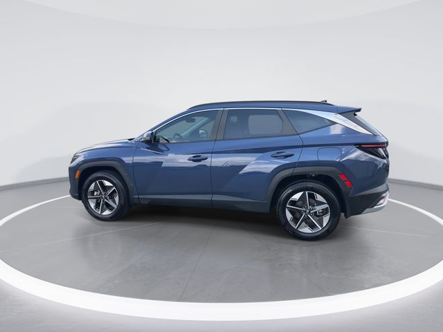 Used 2025 Blue Hyundai SEL Convenience image 5