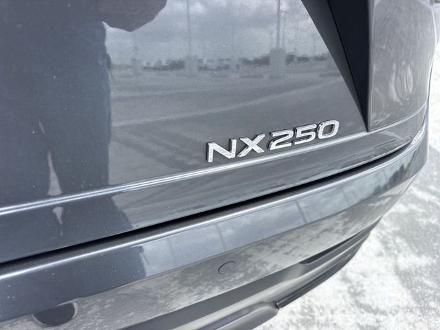 Used 2025 Lexus NX SUV