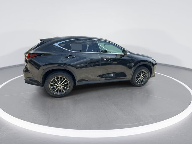 Used 2024 Lexus NX SUV