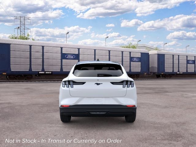 New 2026 White Ford Premium image 5