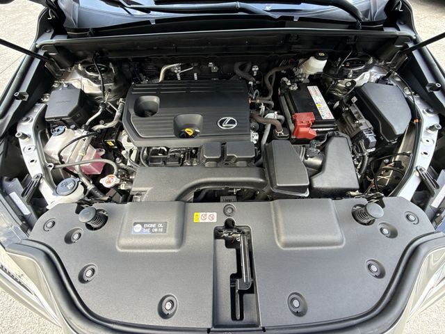 Used 2023 Lexus NX SUV