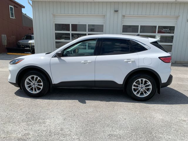 Used 2022 Ford Escape Hybrid SUV