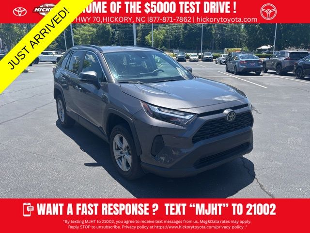 2024 Toyota RAV4's photo