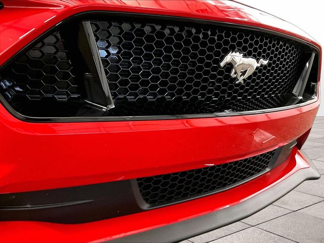2019 Ford Mustang GT Red at Grove City Ford