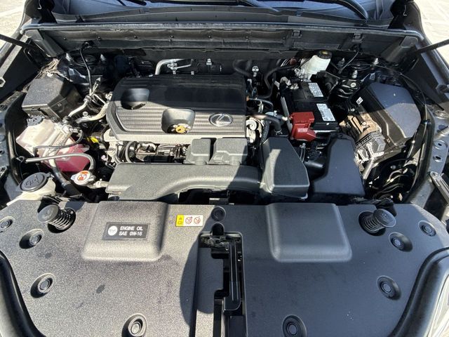 2024 Lexus NX - $36,988