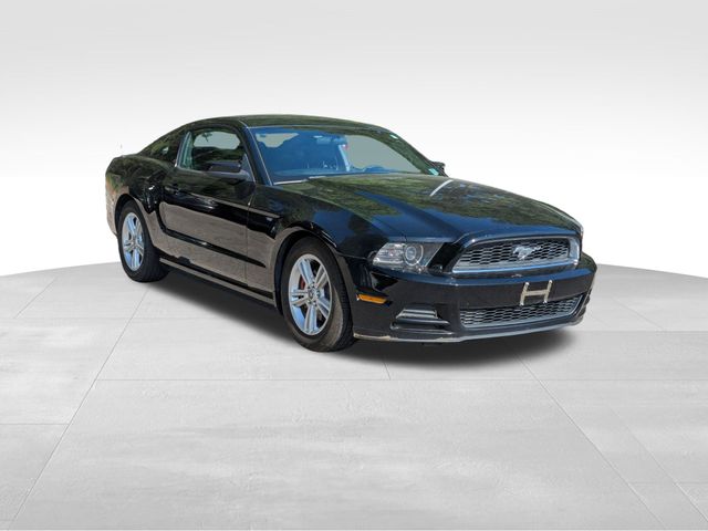 2014 Ford Mustang V6 photo