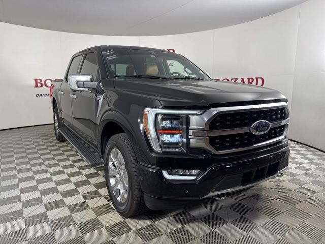 2023 Agate Black Metallic Ford F-150 Platinum Truck