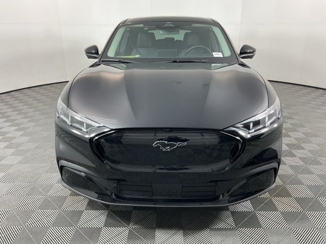 New 2026 Shadow Black Ford Premium image 2