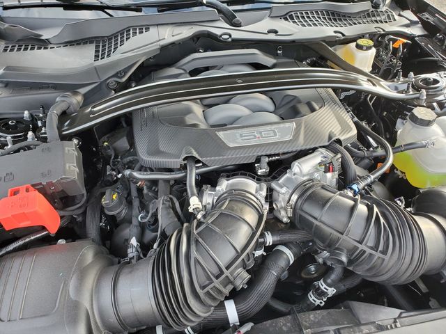 New 2025 Black Ford GT Premium image 36