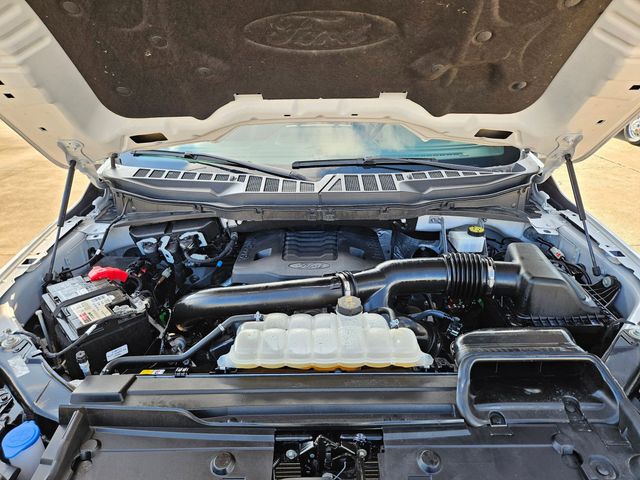 Used 2023 White Ford XLT image 32