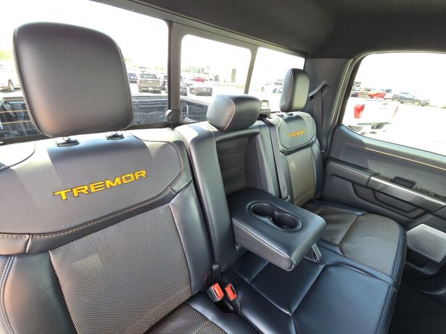 2023 Ford F-150 Tremor:169051A
