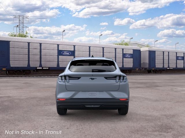 New 2026 Gray Metallic Ford Premium image 5