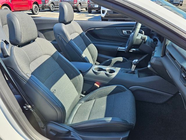 New 2025 White Ford EcoBoost image 14